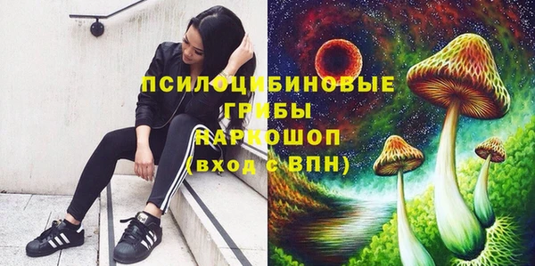 СК Сосновка