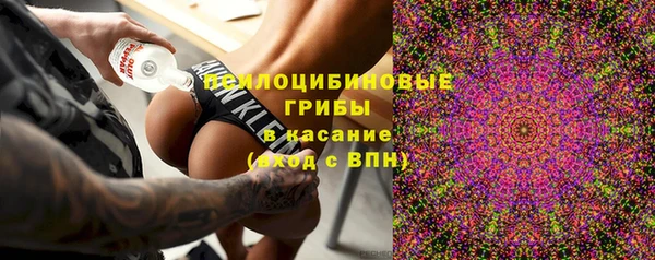 ECSTASY Сосновоборск