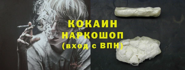 apvp Дмитриев