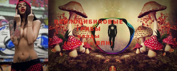 прущий лед Дмитров